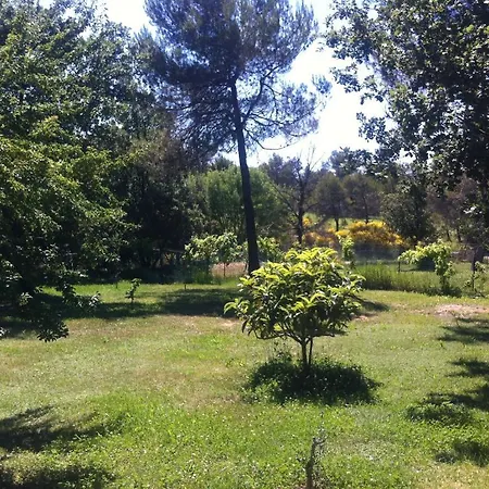 Putt Tee Country-3